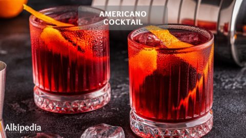 Americano Cocktail - ein superleckerer Aperitif 