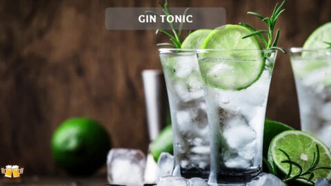 Der Gin Tonic - einfach, schnell und erfrischend