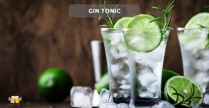 Gin tonic cocktail rezept