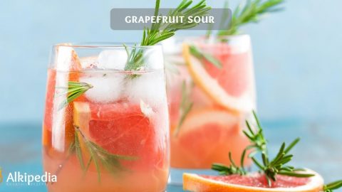 Grapefruit Sour - Ein fruchtig saurer Sommergenuss mit Gin