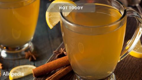 Hot Toddy - Von Todd zum hotten Toddy für kalte Tage
