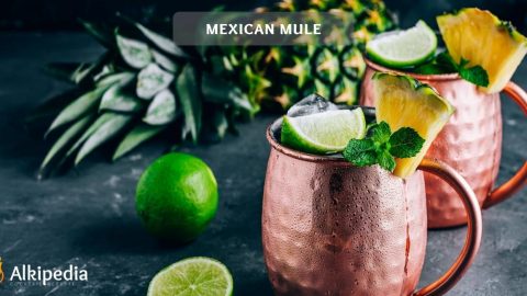 Mexican Mule - leckere Variation des Moscow Mules