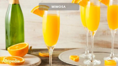 Mimosa - Weit mehr als ein einfacher Drink zum Brunch