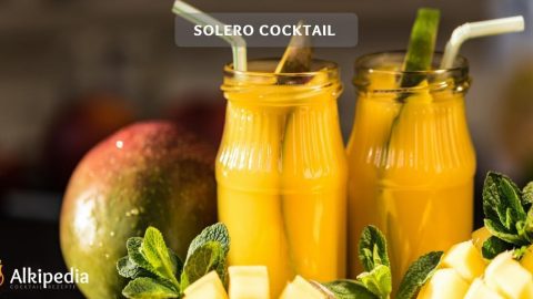Solero Cocktail - Rezept für einen sommerlichen Eis-Genuss