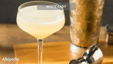 White Lady - Ein klassischer Gin Sour nicht nur für Ladys