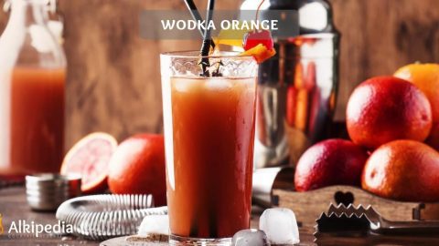 Wodka Orange – Der herrlich erfrischende Klassiker