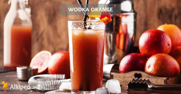 Wodka orange cocktail rezept